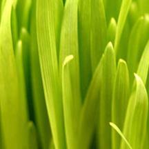 免费ddos压力测试平台